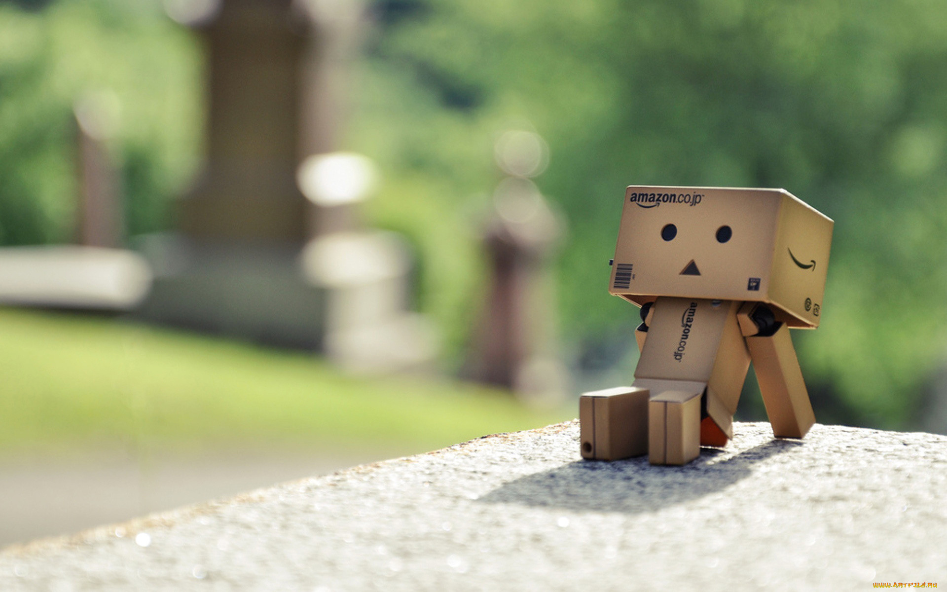 , , danboard, dambo